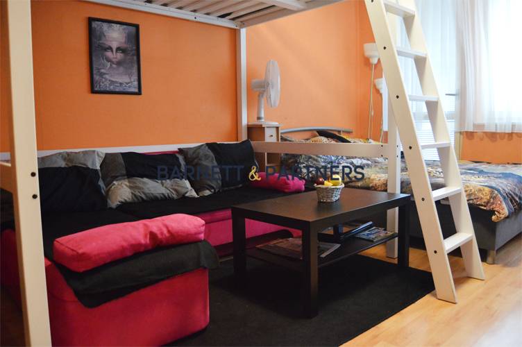 ENJOY THE LEISURE OF A COZY & GENEROUS ONE-ROOM APARTMENT 