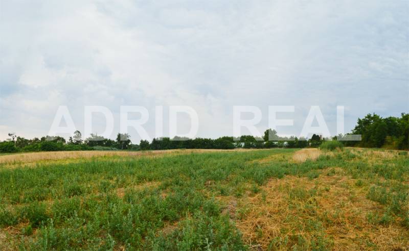 INVESTMENT PLOTS | FOR SALE